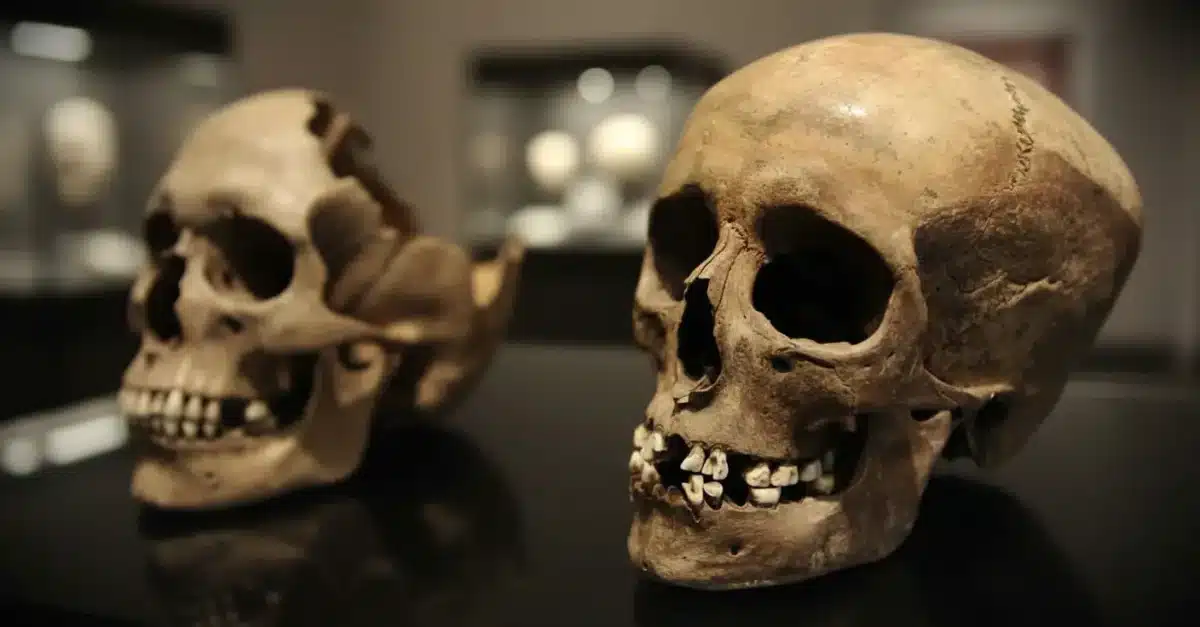 4,000-Year-Old Teeth Reveal Prehistoric Trick That Fought Off Cavities Naturally