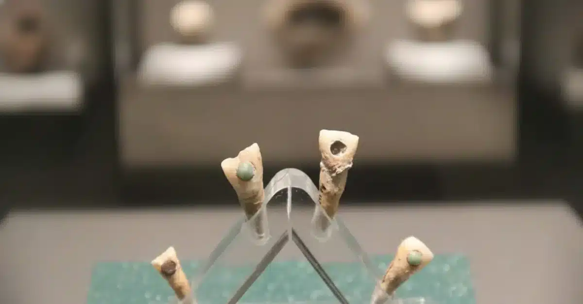 Why Maya People Put Stones in Their Teeth Was Never Just About Beauty