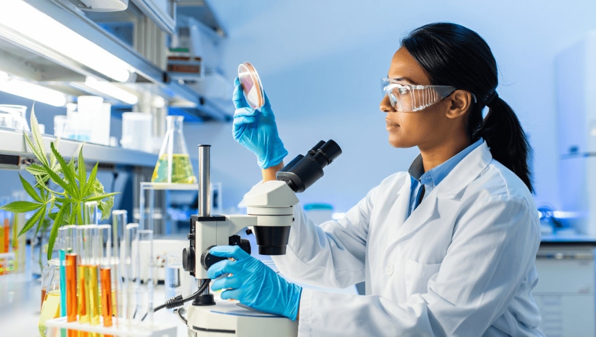CBD, THC May Provide New Ovarian Cancer Treatments, Study Finds