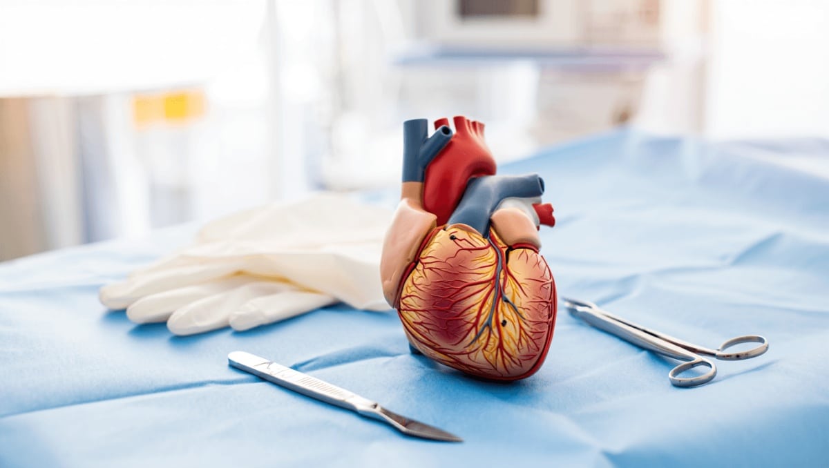 Les caillots sanguins peuvent causer infarctus, thrombose ou AVC. Voici 7 aliments pour fluidifier le sang naturellement