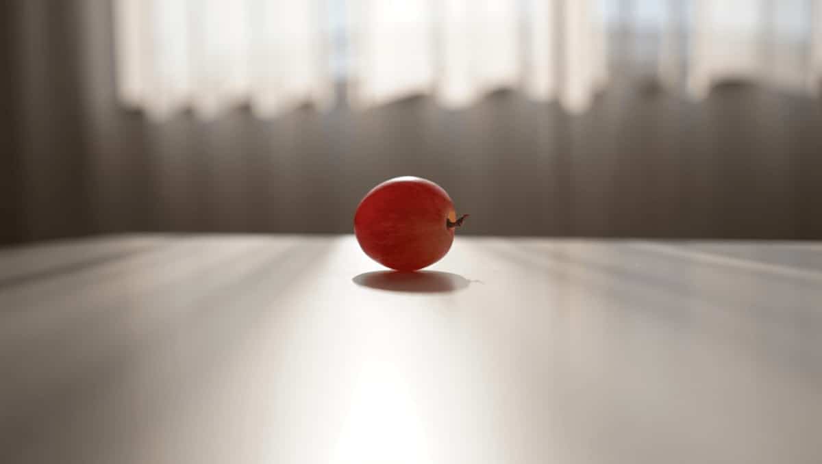 
		Tasty 62-calorie snack may help protect your skin from sun damage	
