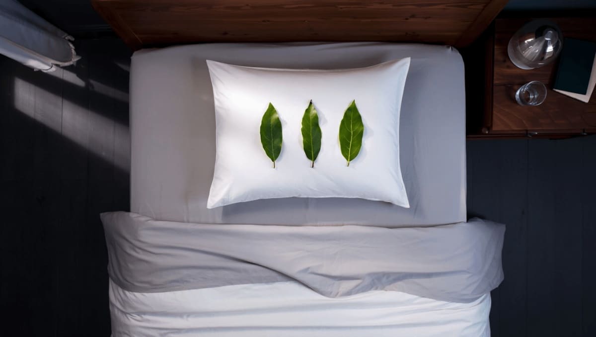 Dormir avec des feuilles de laurier sous l