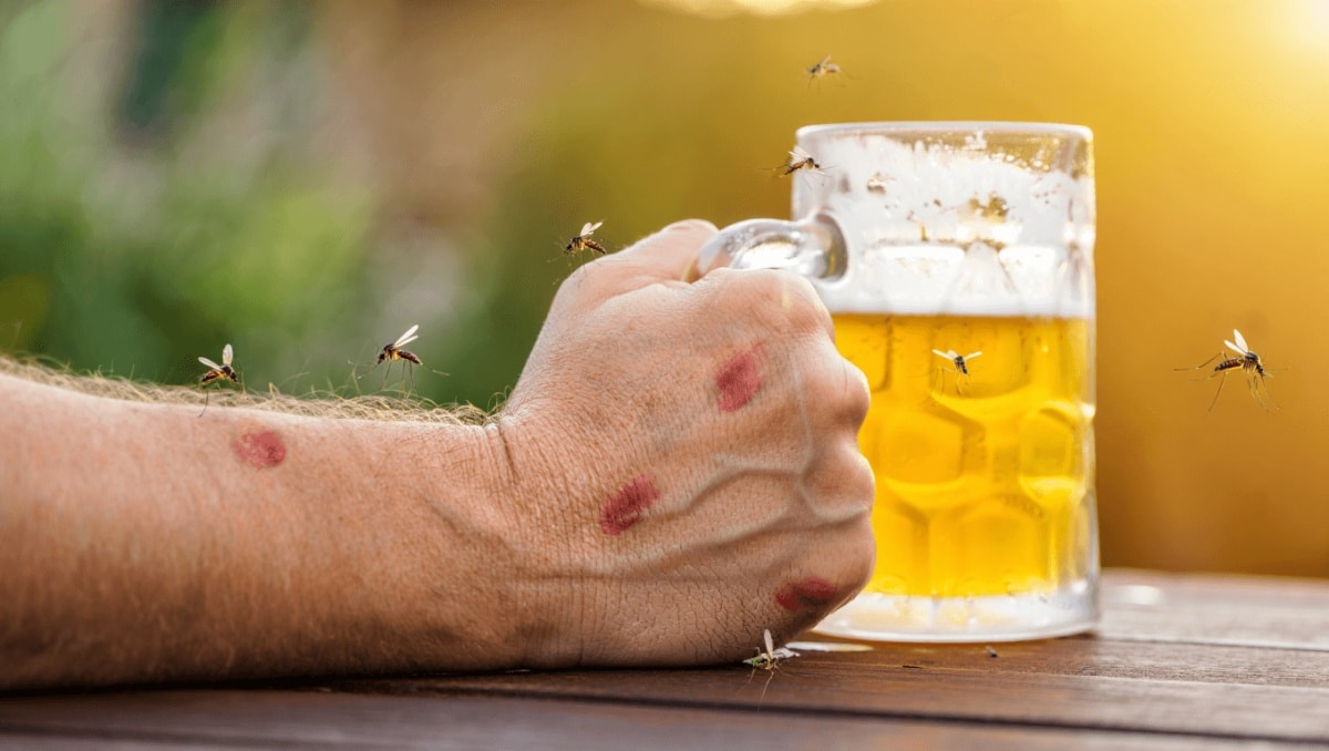 Beer, Body Scent May Make You a Mosquito Magnet. Can DEET Help?
