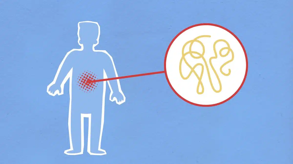 Scientific visualization of immune cells and inflammatory response