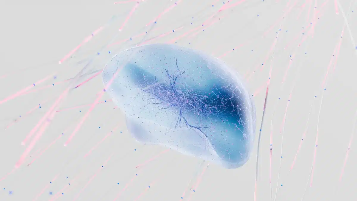Illustration of brain cells and neurons with energy transfer pathways highlighted