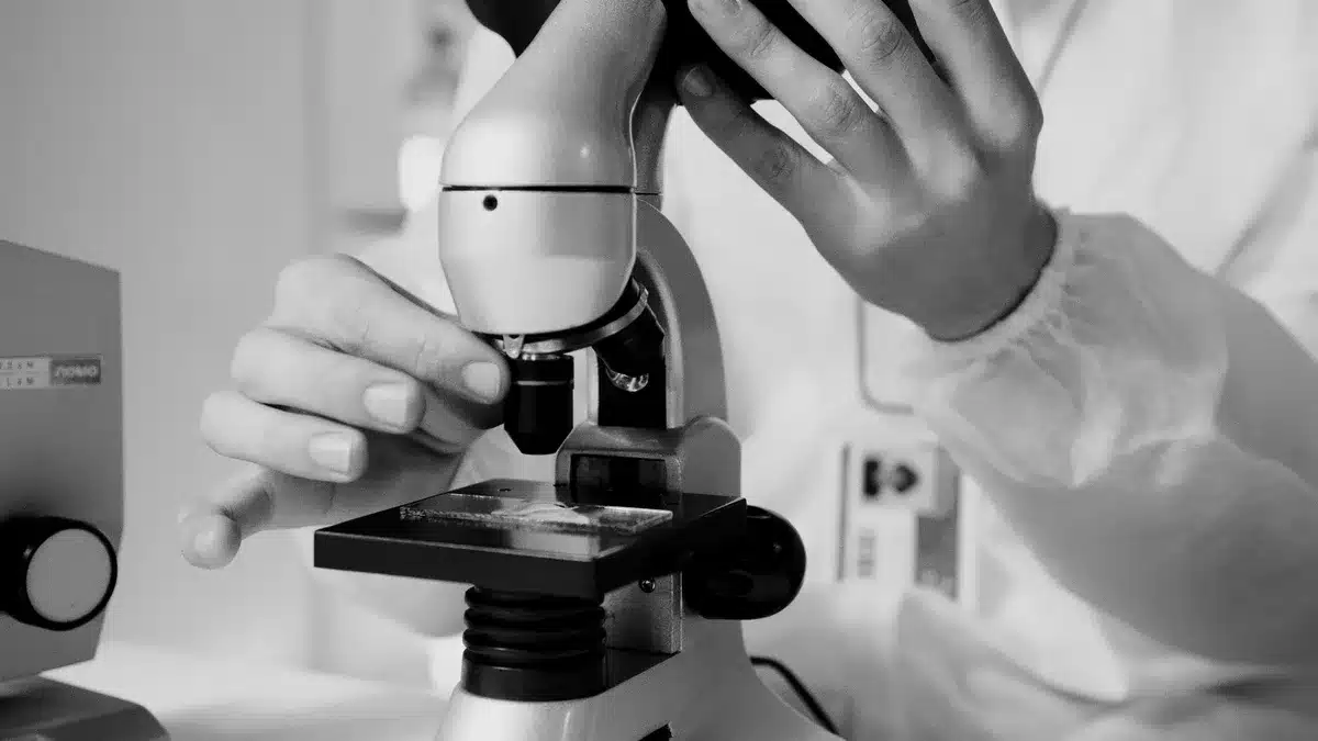 Scientist or researcher examining samples in a laboratory setting with microscope and scientific equipment