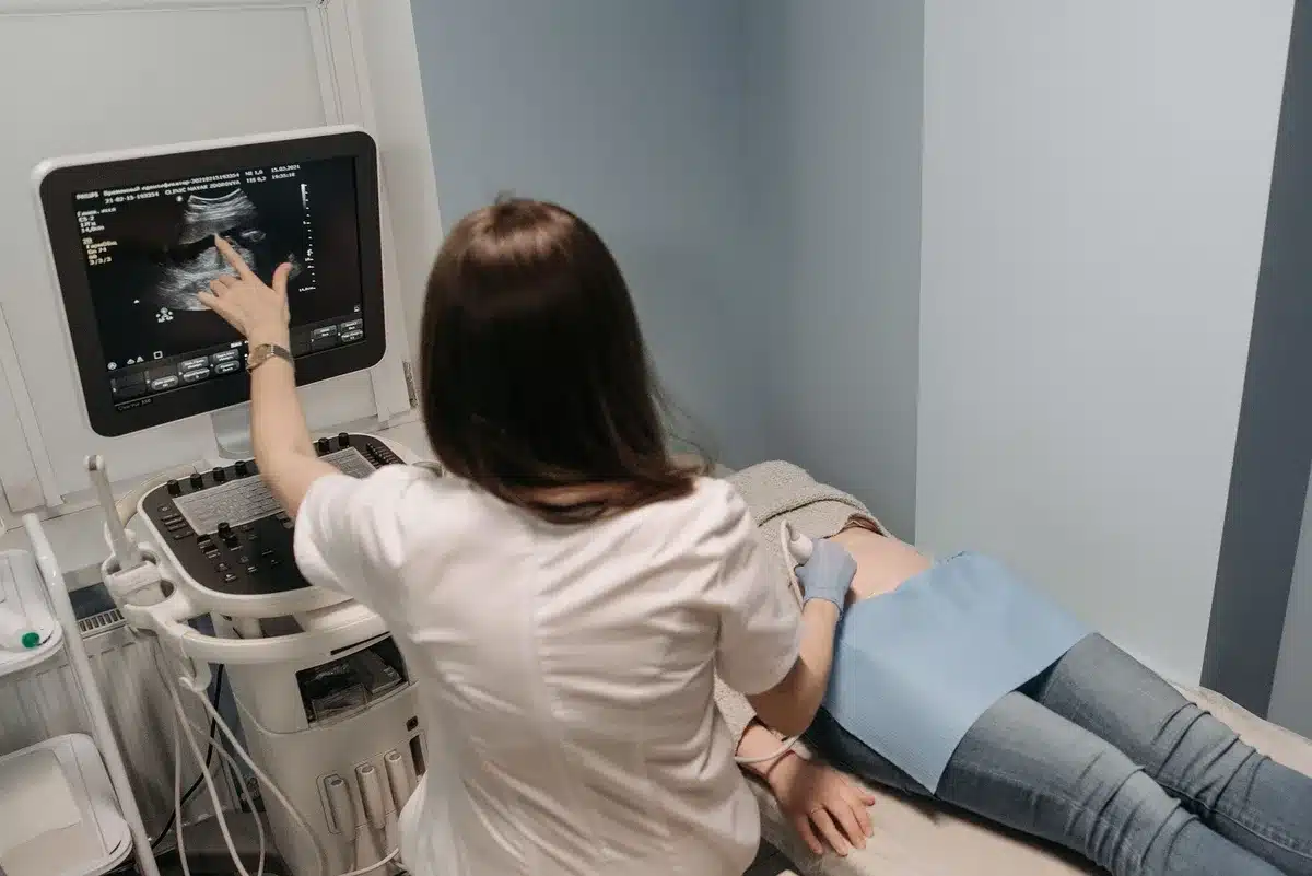 Echocardiography imaging being performed to assess heart structure and function
