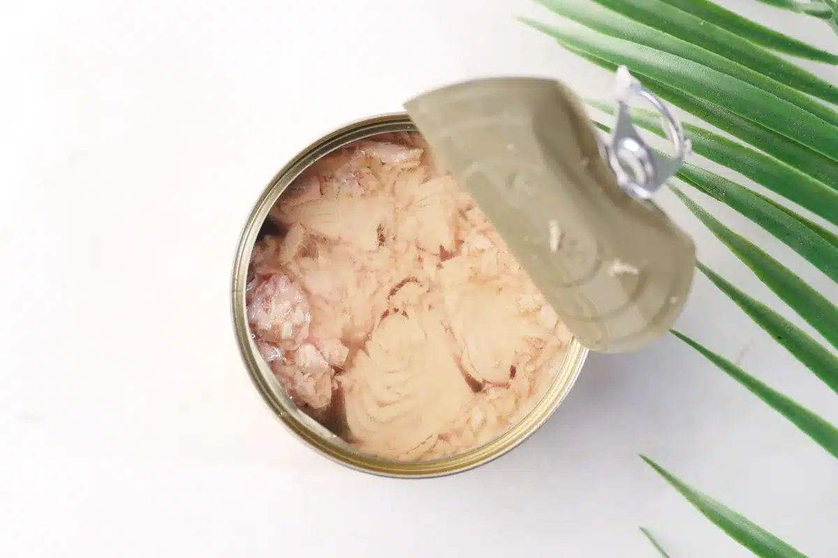 Assortment of canned and frozen seafood, beans, and pantry staples on a kitchen shelf