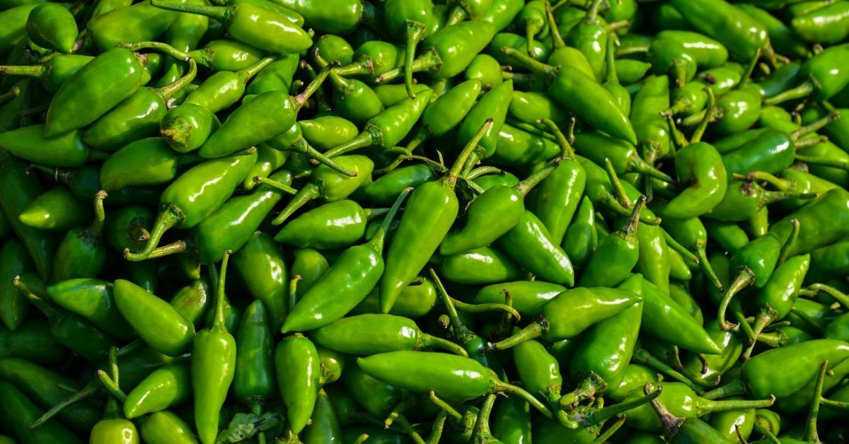 H-E-B, Taylor Farms Recall Jalapeño Products Due to Salmonella Risk