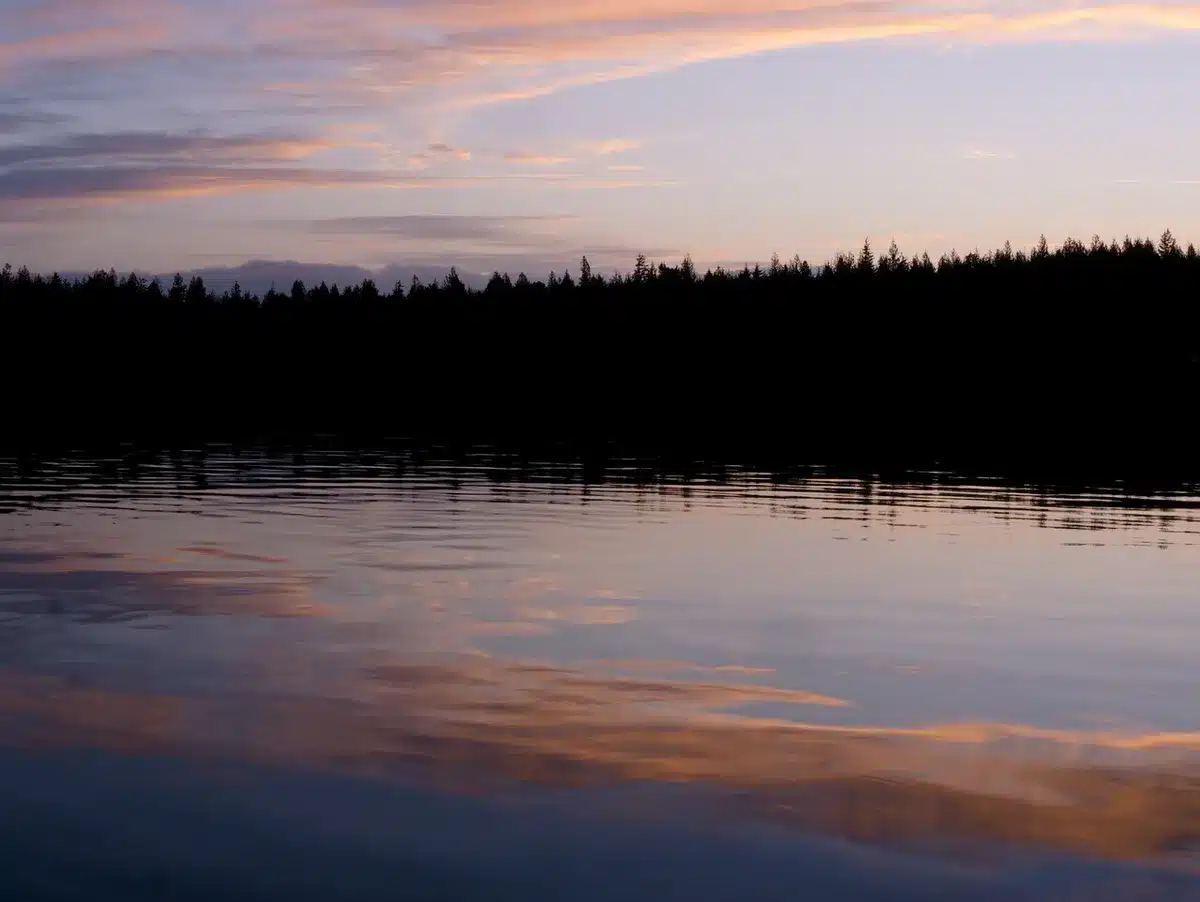 Sunlit estuary with shallow warm water and marshy shoreline