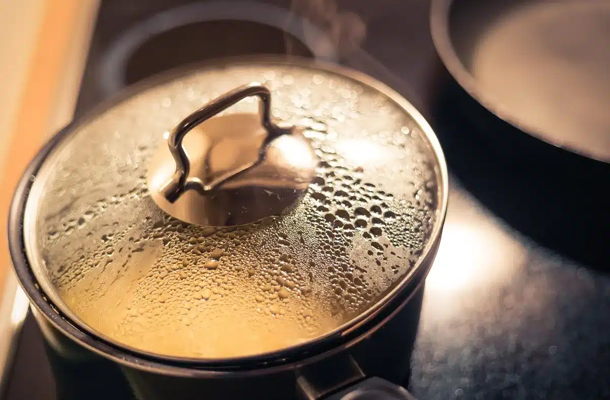 Cooked shellfish in a pot on a bright kitchen stove