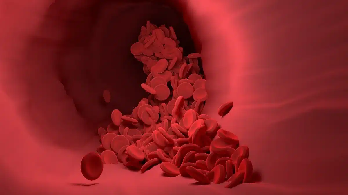 Illustration of gut hormones and receptors relevant to diabetes treatment
