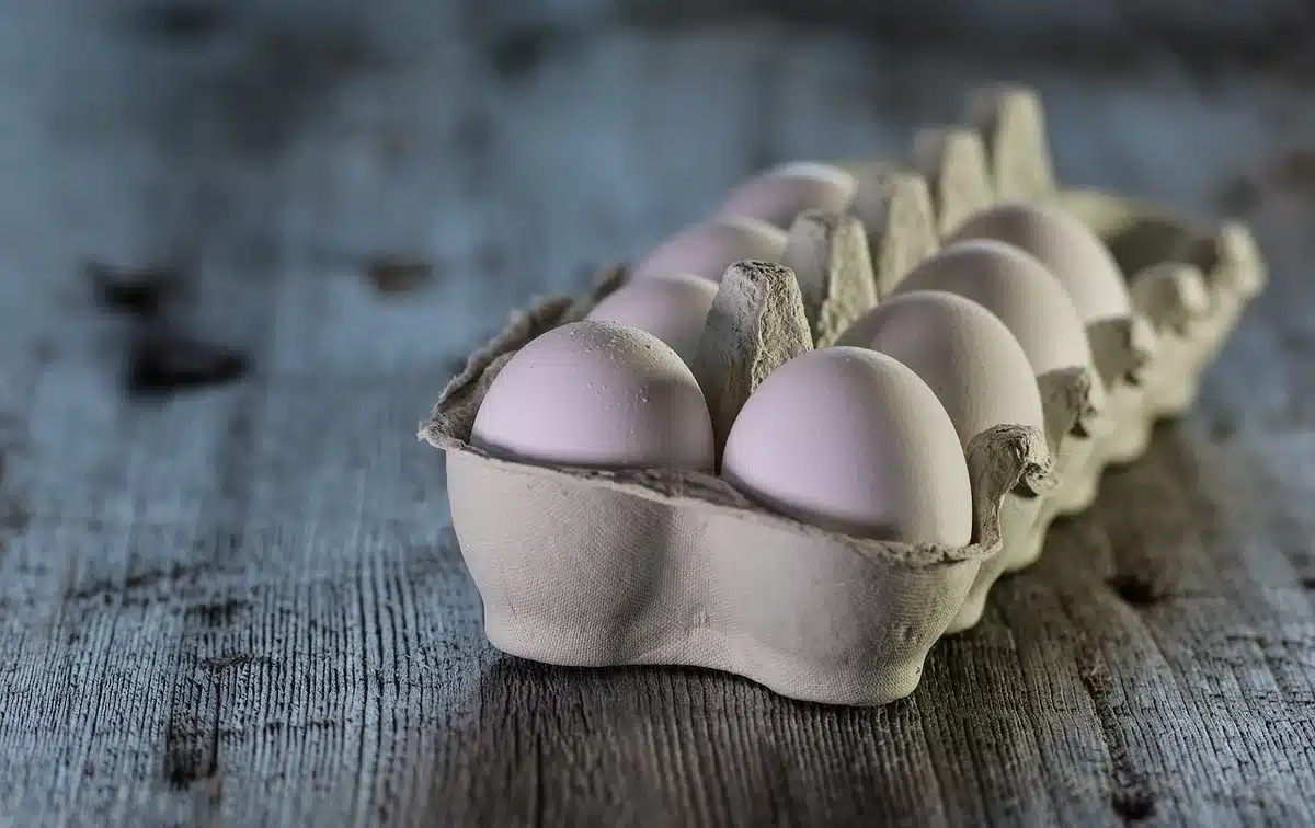 Two plates with eggs for breakfast on a sunlit kitchen table, paper medical results blurred behind
